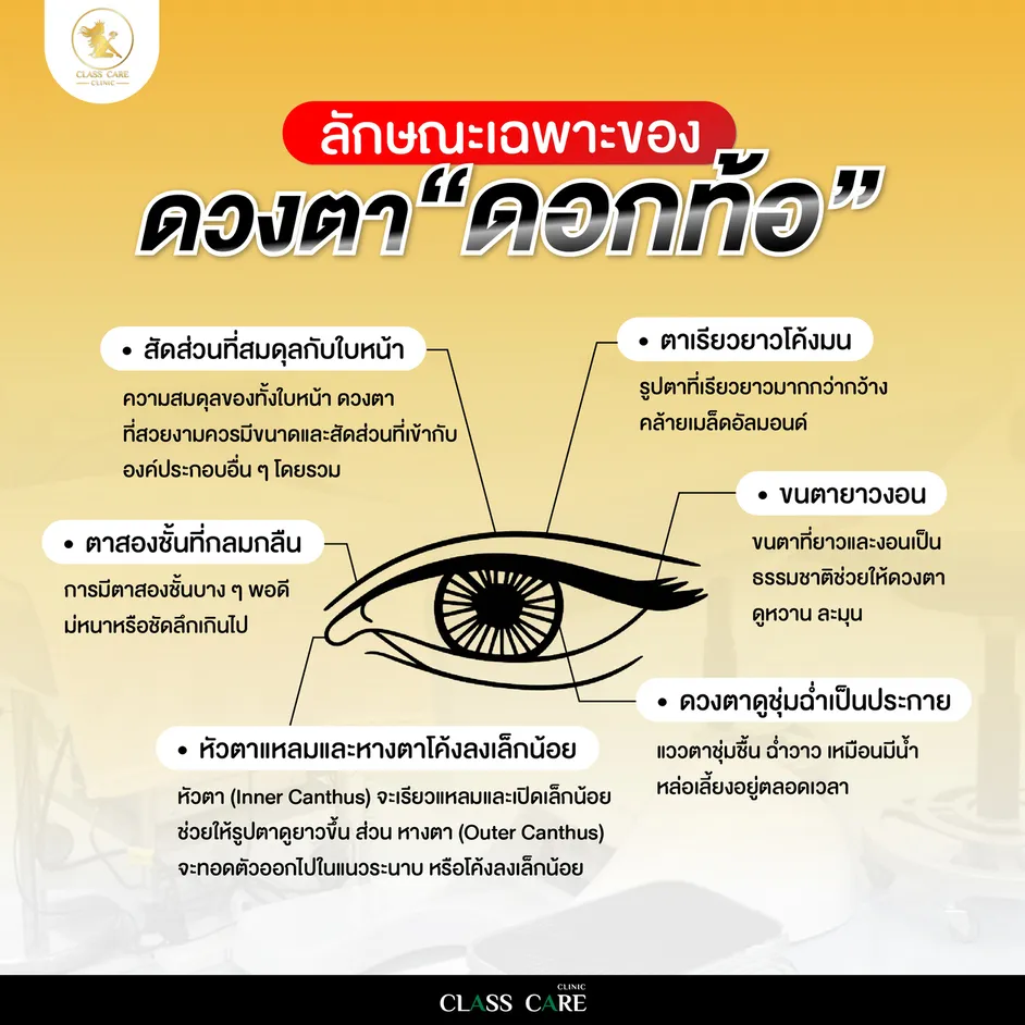 ลักษณะเฉพาะของดวงตาดอกท้อ