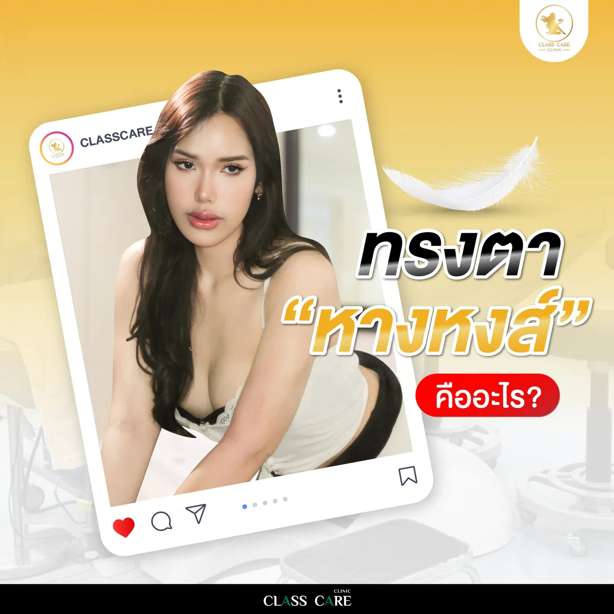 ทรงตาหางหงส์คืออะไร
