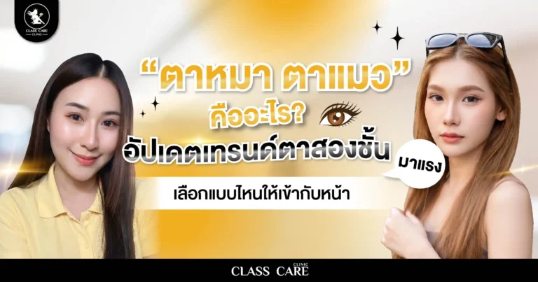 ตาหมา ตาแมว คืออะไร? อัปเดตเทรนด์ตาสองชั้นมาแรง เลือกแบบไหนให้เข้ากับใบหน้า