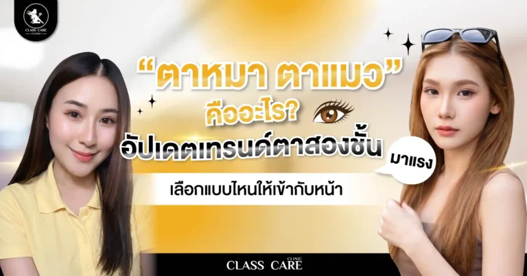 ตาหมา ตาแมว คืออะไร? อัปเดตเทรนด์ตาสองชั้นมาแรง เลือกแบบไหนให้เข้ากับใบหน้า